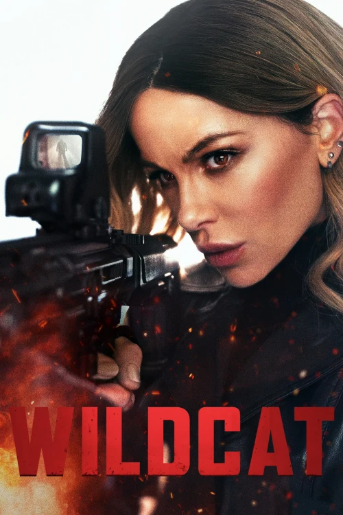 ველური კატა / Wildcat (2025) ქართულად